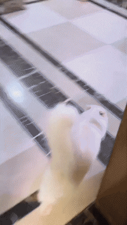 С&nbsp;добрым утром