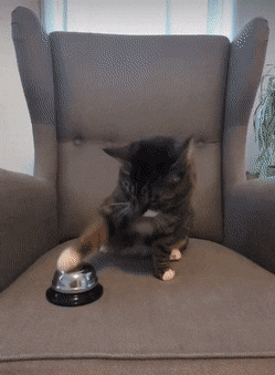 Кнопка вызова хозяина