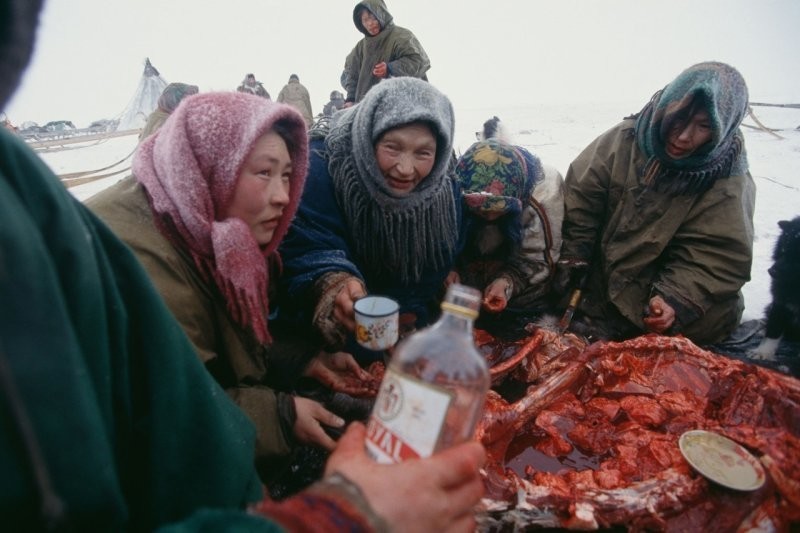 Ненцы пьют по окончанию разделки туши северного оленя, 1993 год