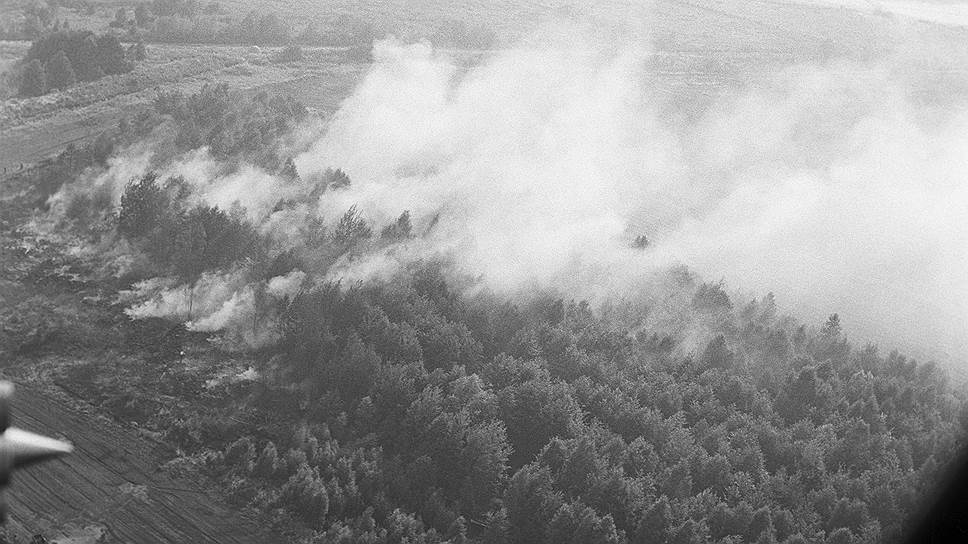 Страшное лето 1972-го: как торфяные пожары чуть не уничтожили целую область в СССР