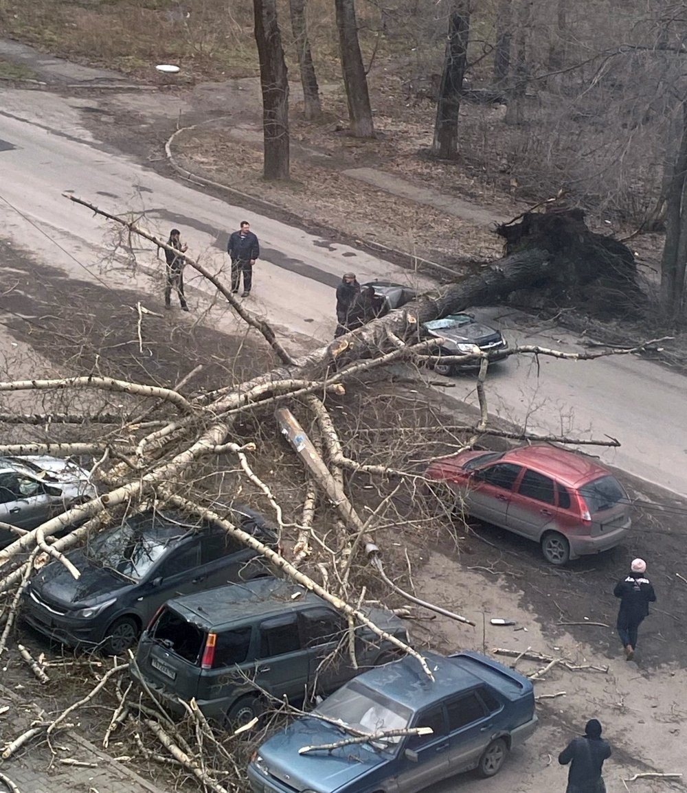 Упавшее дерево раздавило машину с людьми