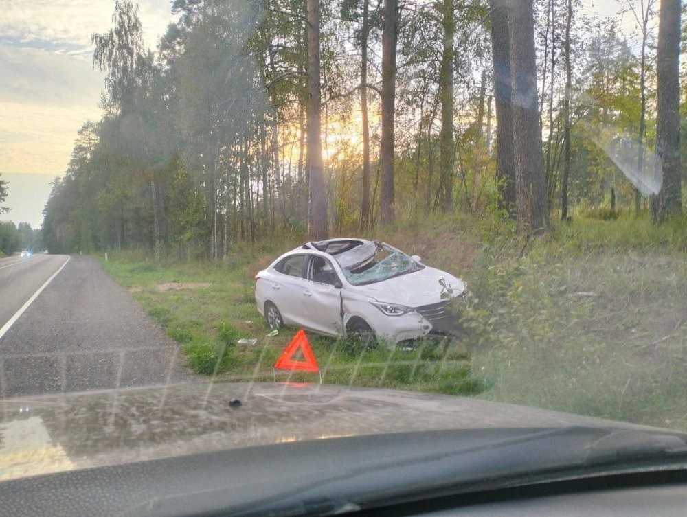 Лось попал под 2 автомобиля