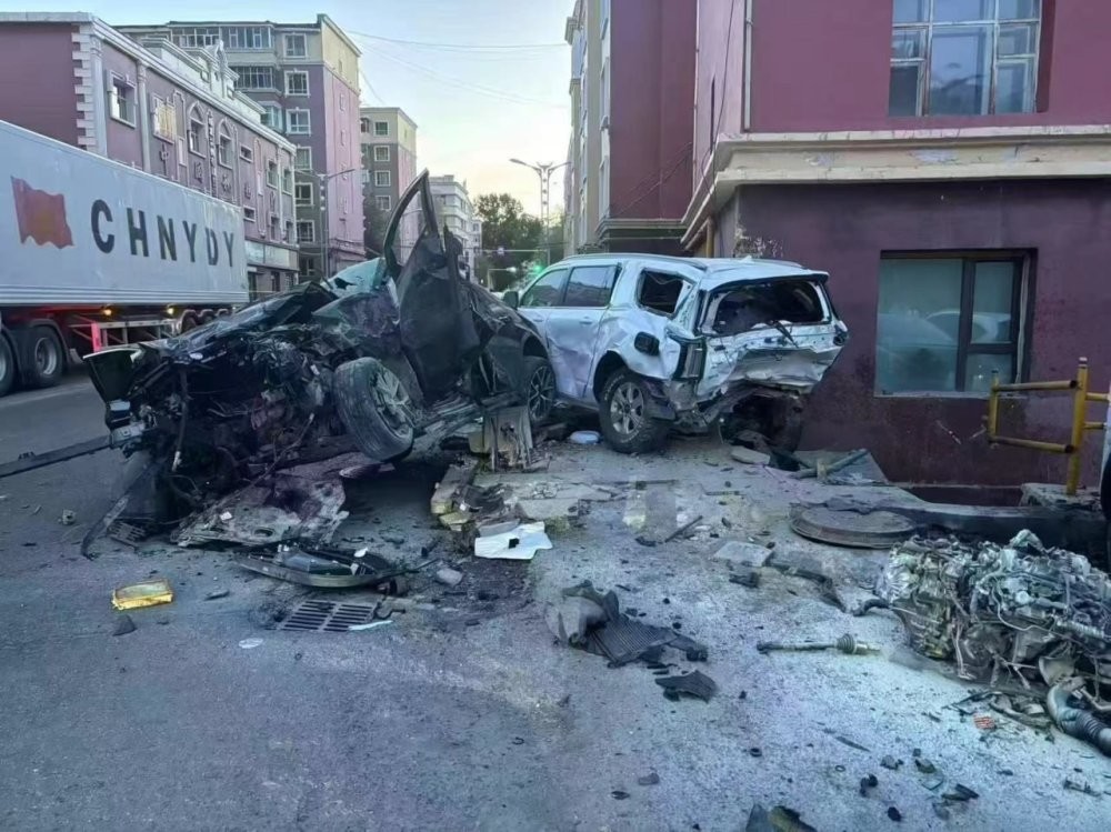 Полёт за премией Дарвина