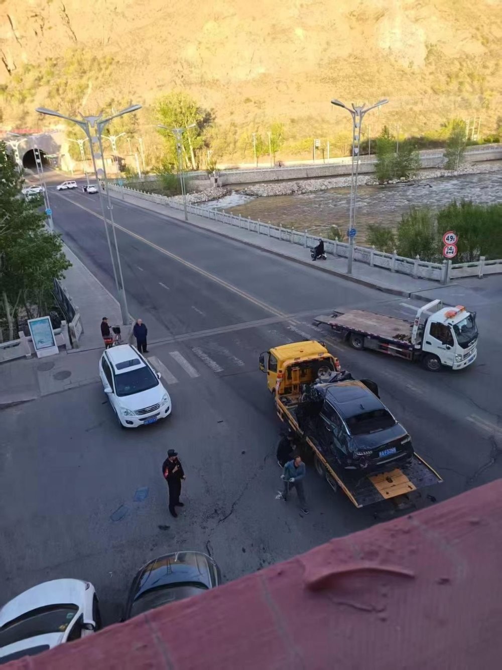 Полёт за премией Дарвина