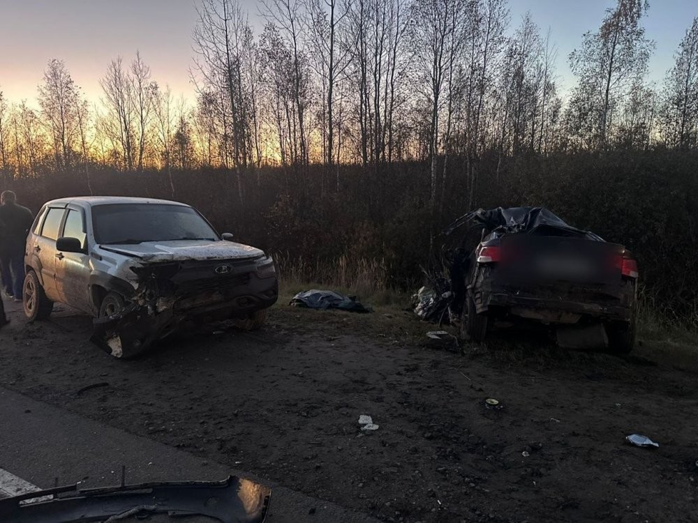 Поубивал людей, а сам жив остался