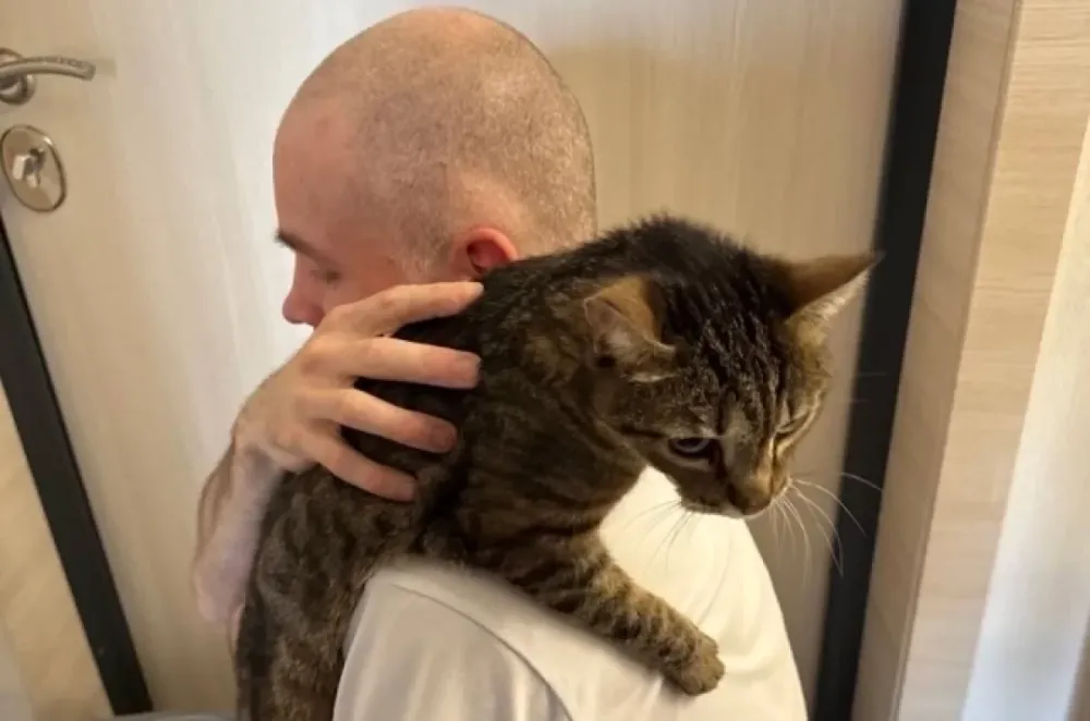 Останкинский суд вынес приговор стрит-арт художнику, пытавшемуся убить кота в прямом эфире