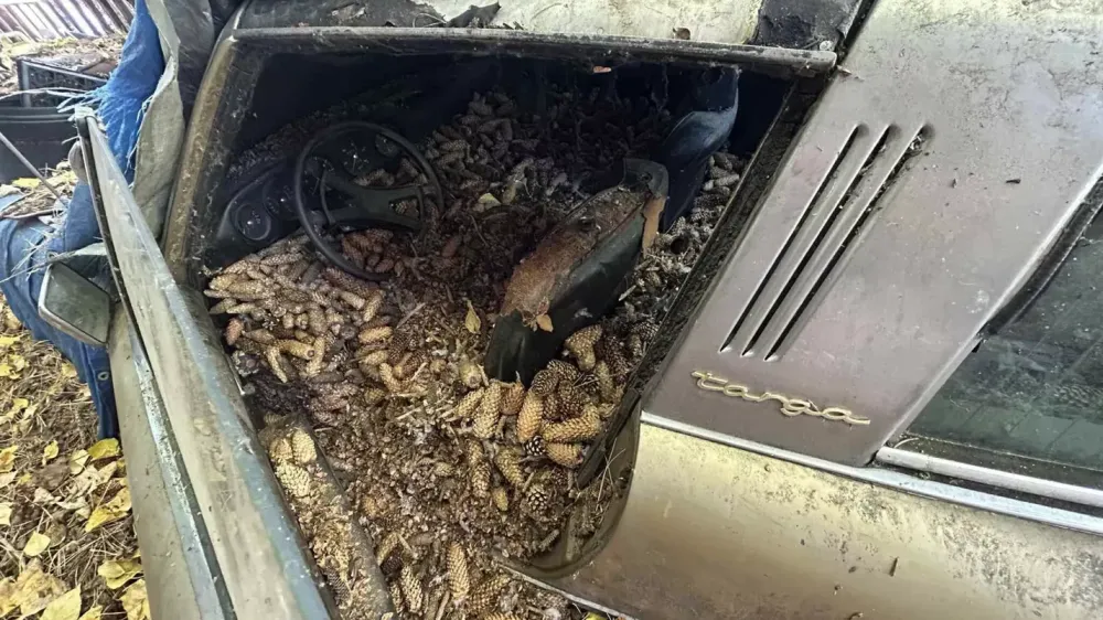 В США спасли Porsche 911, забытый на улице на 31 год