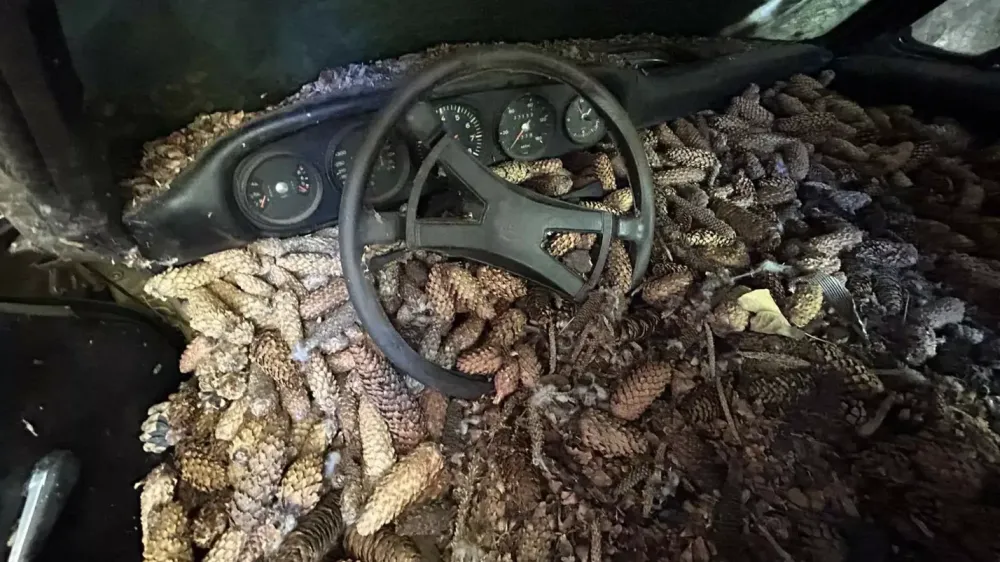 В США спасли Porsche 911, забытый на улице на 31 год