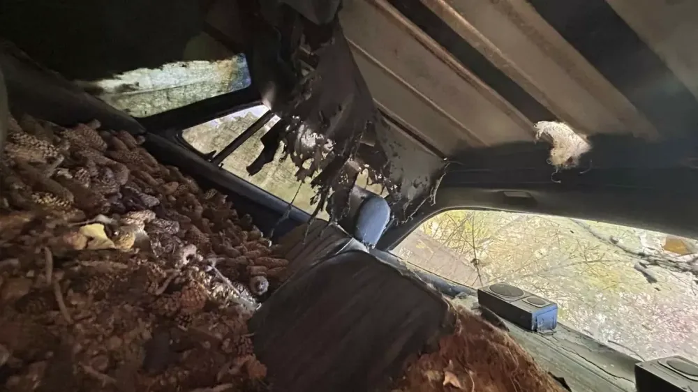 В США спасли Porsche 911, забытый на улице на 31 год