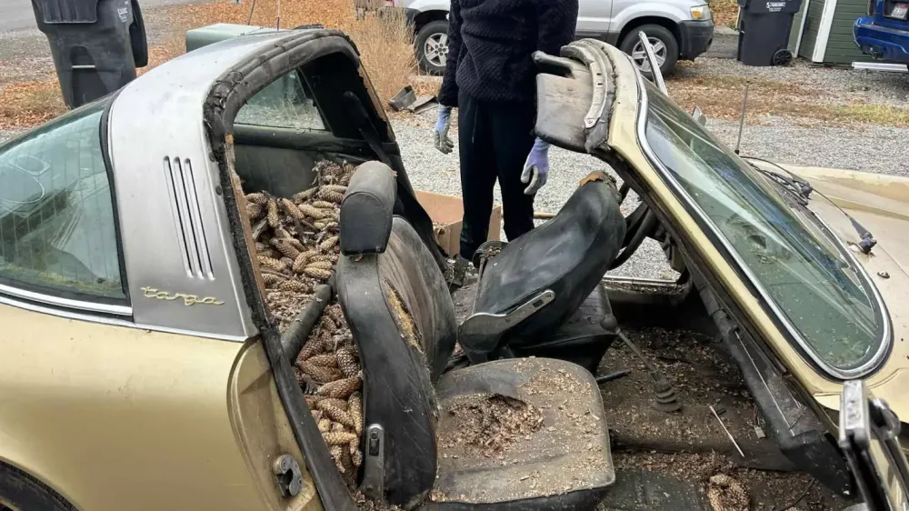 В США спасли Porsche 911, забытый на улице на 31 год