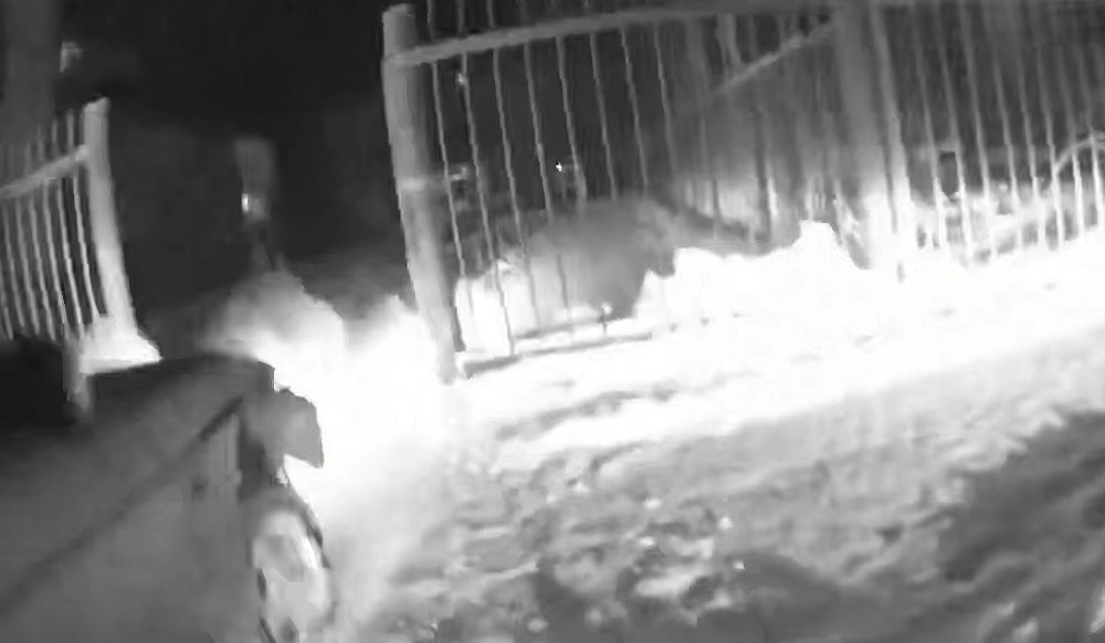 Томский лихач протащил инспектора ДПС на двери своей машины