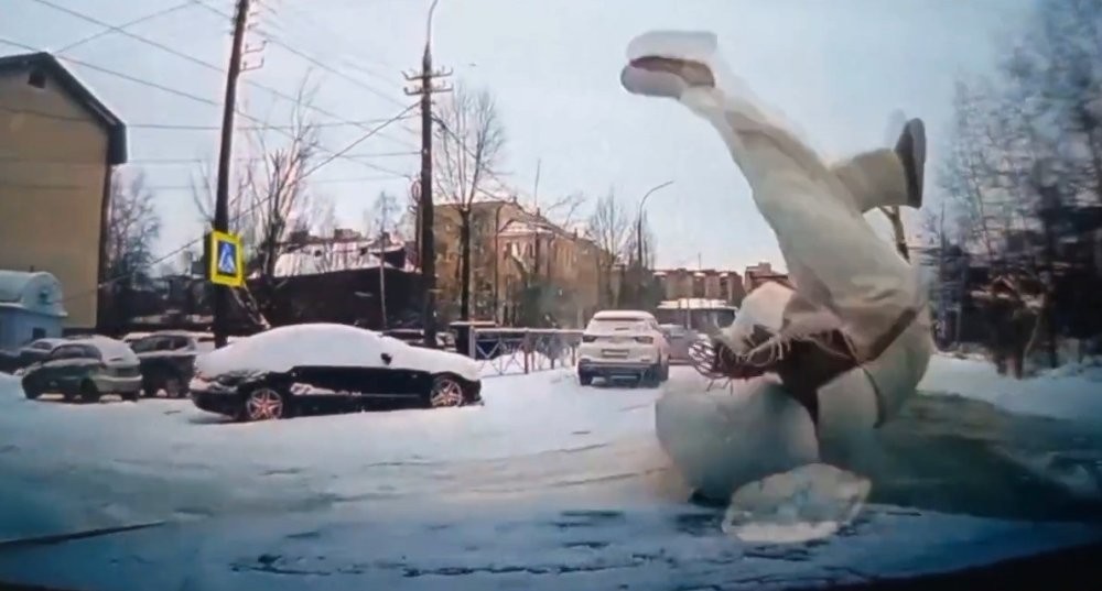 Замаскировалась под сугроб