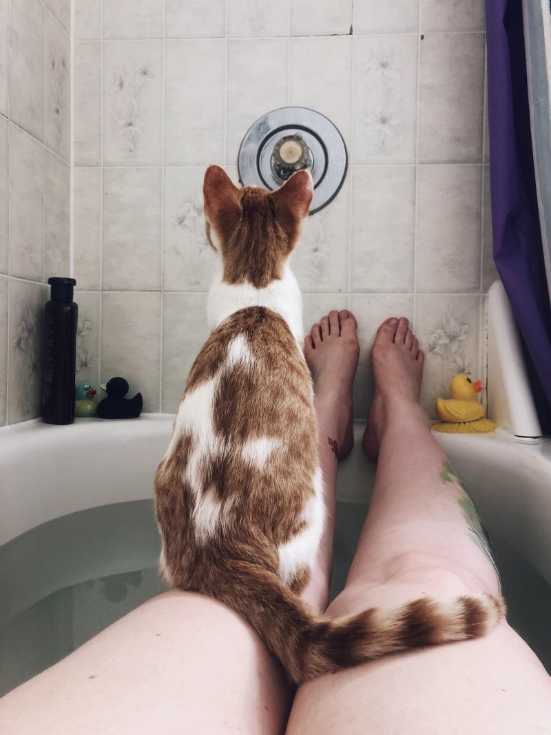 3. Мой кот считает, что мне без него в ванной будет скучно
