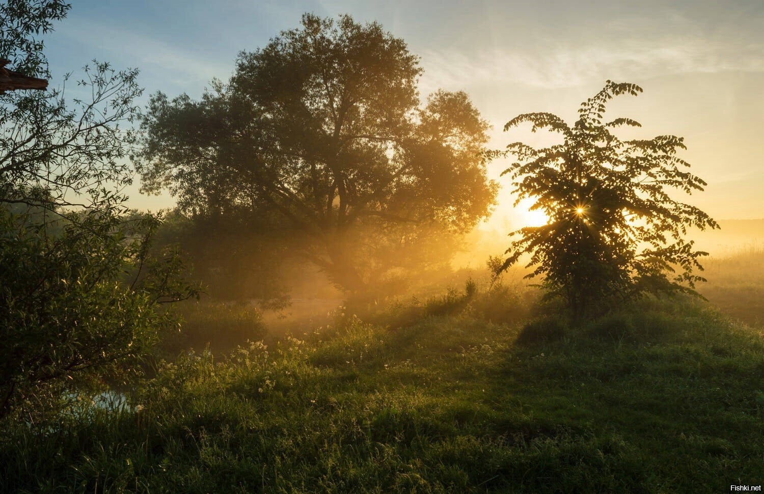 Ода восход. Утренний свет Новиков. Од рассвет. Утренний свет(ex/NM). Morning Light Heritage.