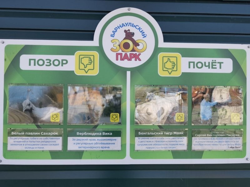 "Доска позора" в Барнаульском зоопарке раскрыла маленькие тайны "опасных хулиганов"