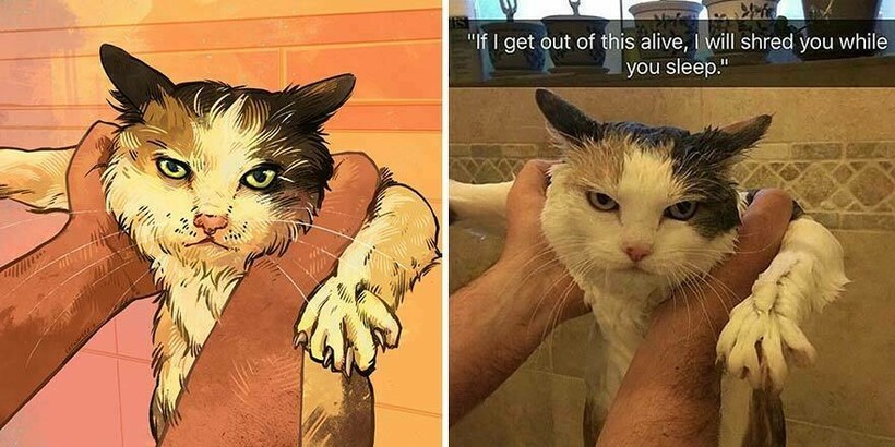 Художница превращает известные мемы с котами в забавные иллюстрации