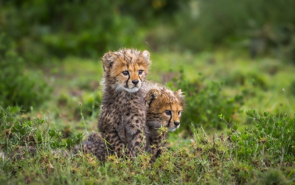 С добрым утром