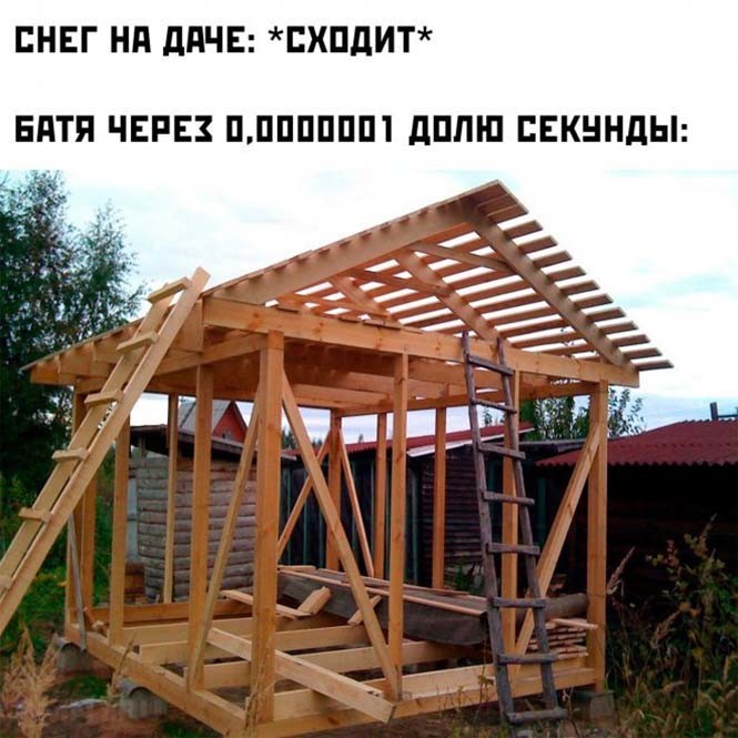 Фотоприколы и&nbsp;прикольные картинки