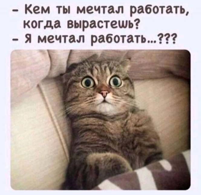 Фотоприколы и&nbsp;прикольные картинки