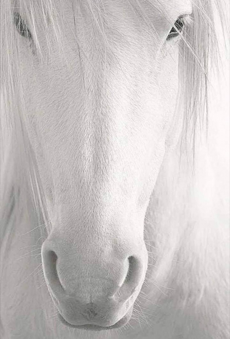 На общую тему 