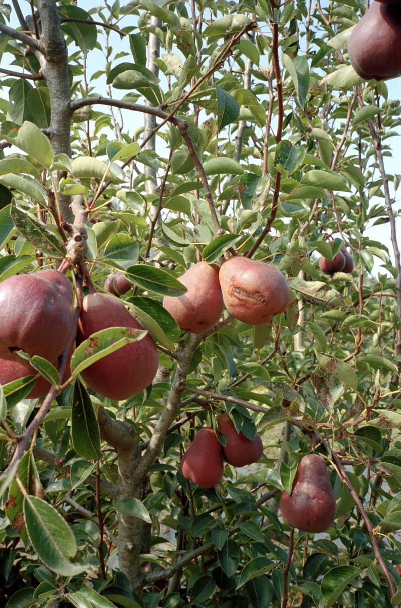 На общую тему 