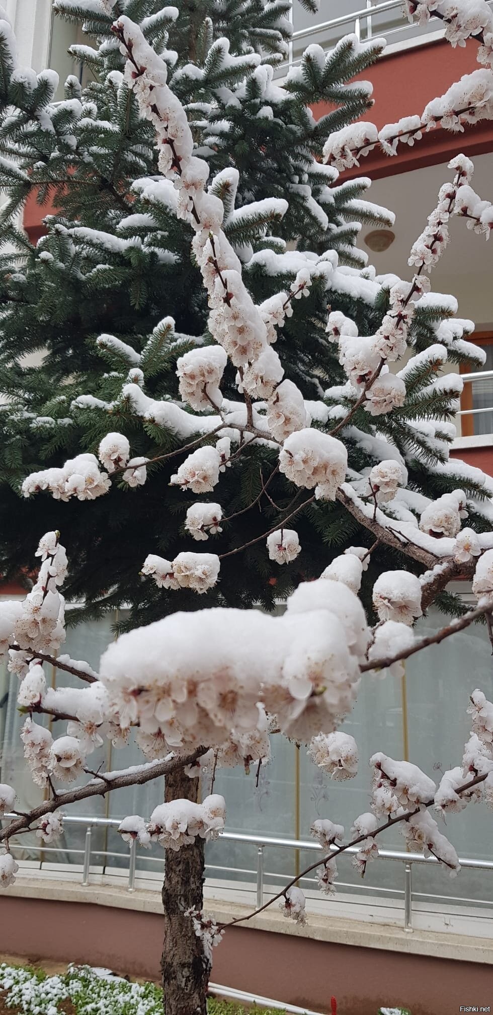 Анкара, неделю назад