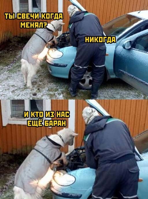 Фотоприколы и&nbsp;прикольные картинки