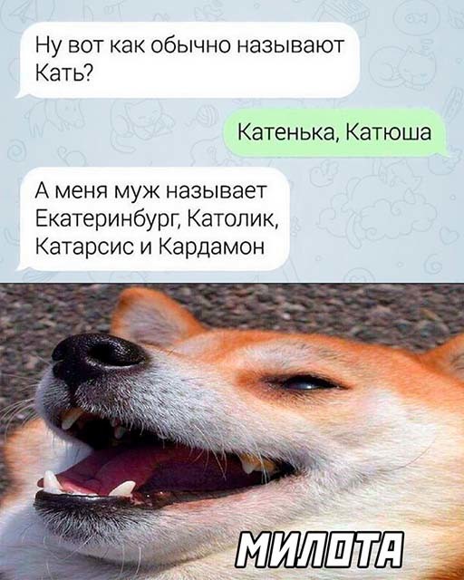 Фотоприколы и&nbsp;прикольные картинки