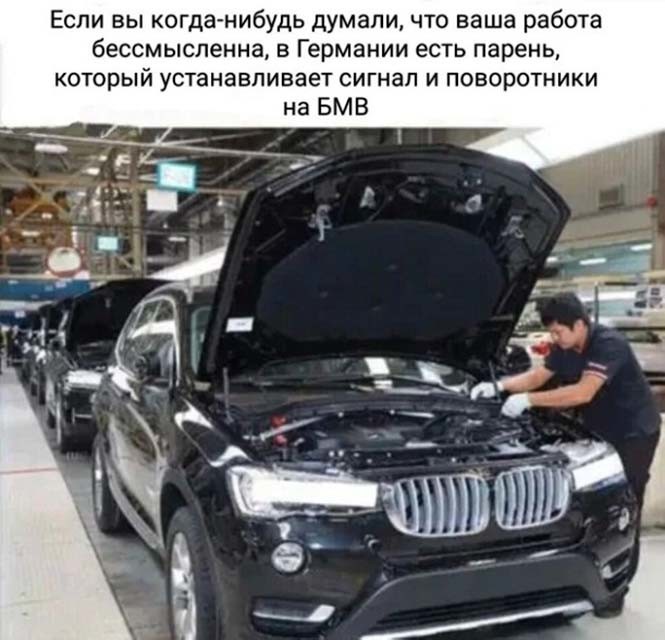Фотоприколы и&nbsp;прикольные картинки
