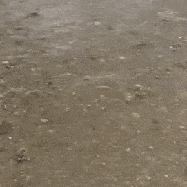 Просто гифки, всякие и разные Просто гифки, всякие и разные