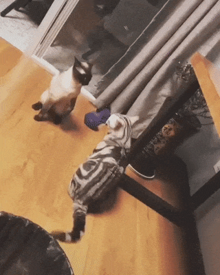 Просто гифки, всякие и разные Просто гифки, всякие и разные