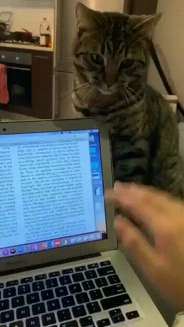 Просто гифки, всякие и разные Просто гифки, всякие и разные