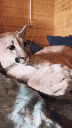 Просто гифки, всякие и разные Просто гифки, всякие и разные