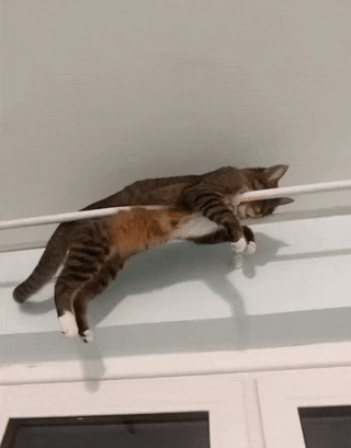 Просто гифки, всякие и разные Просто гифки, всякие и разные