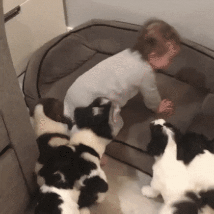 Просто гифки, всякие и разные Просто гифки, всякие и разные