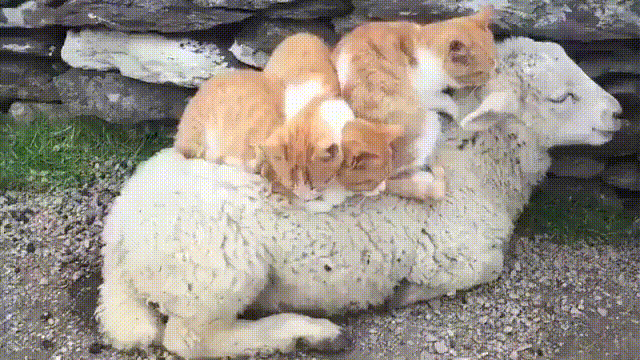 Просто гифки, всякие и разные Просто гифки, всякие и разные