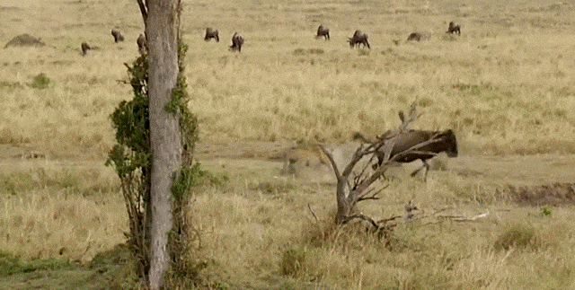 Двое на одного