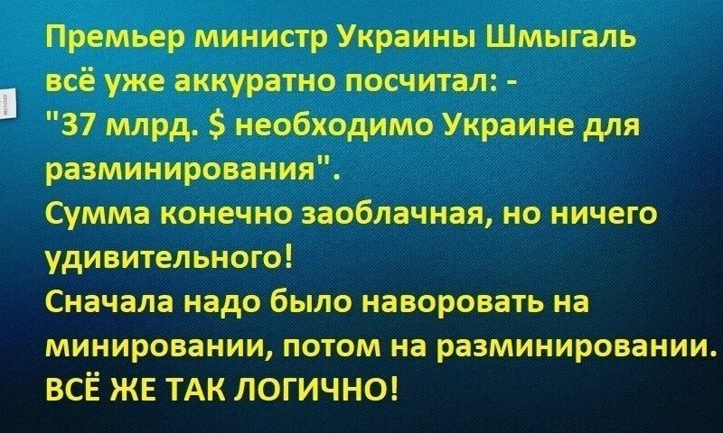 О политике и не только