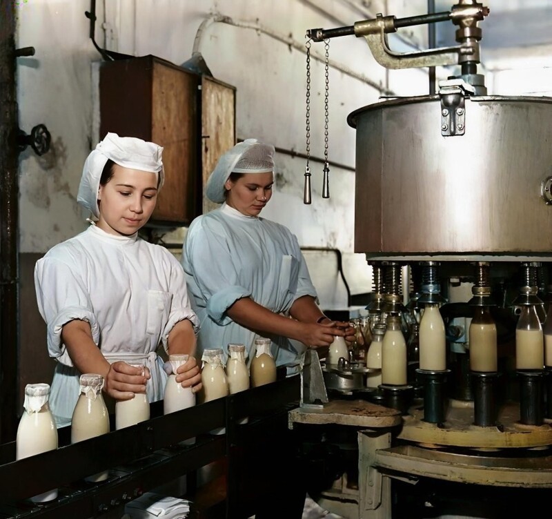 Молочный завод. Цех разлива молока.  Челябинск, 1954 год.