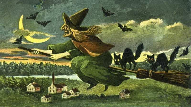 14. "Ведьма на метле" возникла в средние века в Европе. Тогда ведьмы обнаружили, что галлюциногенные вещества лучше впитываются слизистой половых органов. Они наносили зелье на метлу, садились на неё и отправлялись в "полёт"