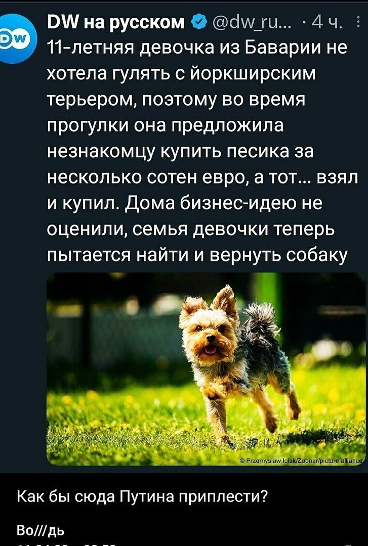 О политике и не только