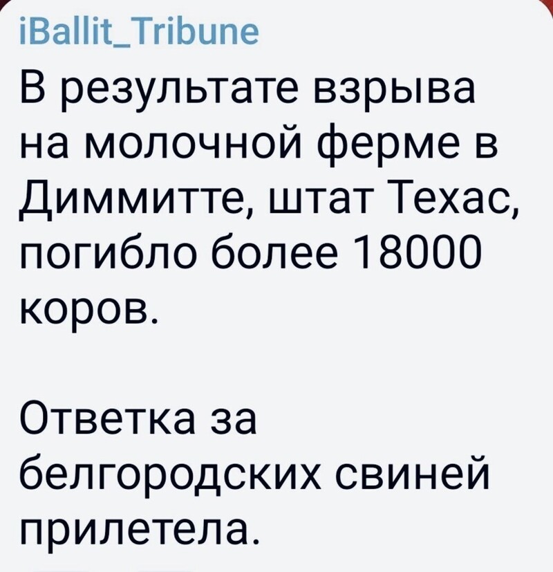 О политике и не только