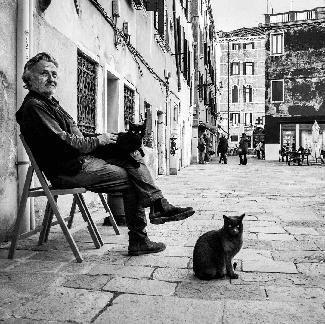 Жизнь венецианскских котиков и их дружба с людьми