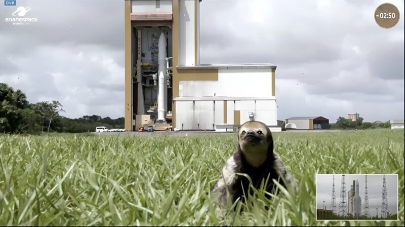 Ленивца обнаружили на стартовой площадке во время запуска ракеты к Юпитеру