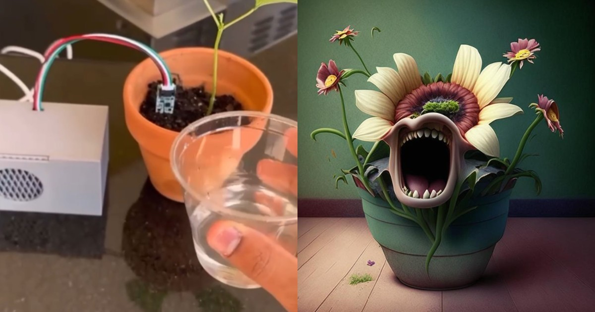 "Полей меня!": программист научил растение просить пить - и получил домашнего тирана