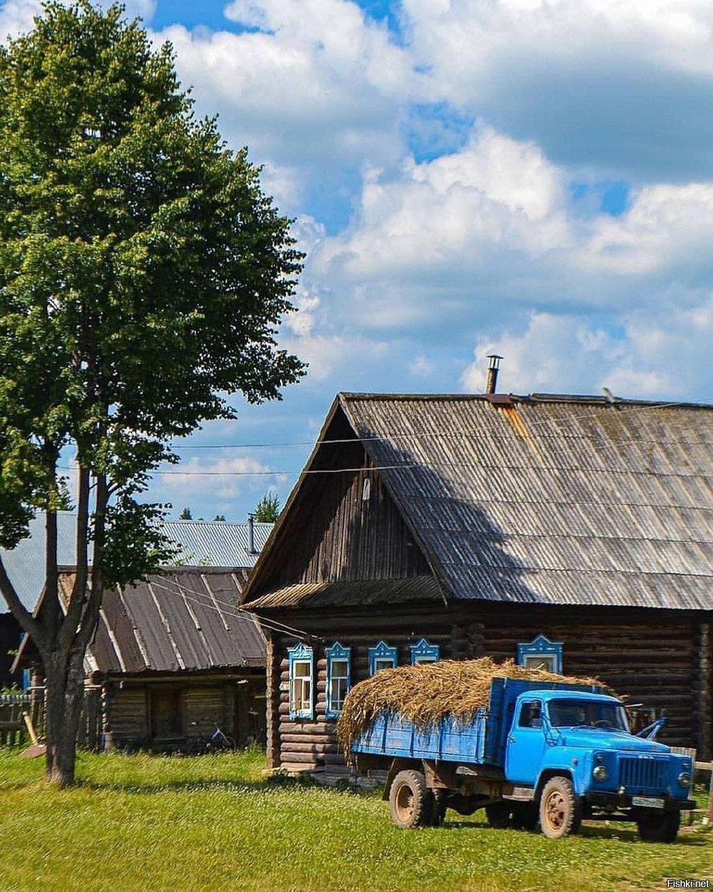 Деревня Овиново Пермский край