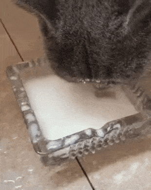 Мама пьет, брызги летят