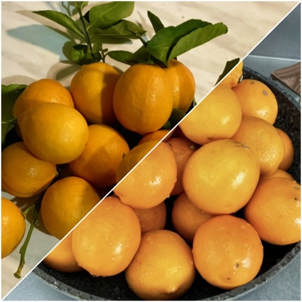Как убрать горечь из лимона? Почему лимон может горчить?