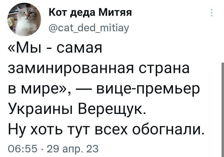 О политике и не только