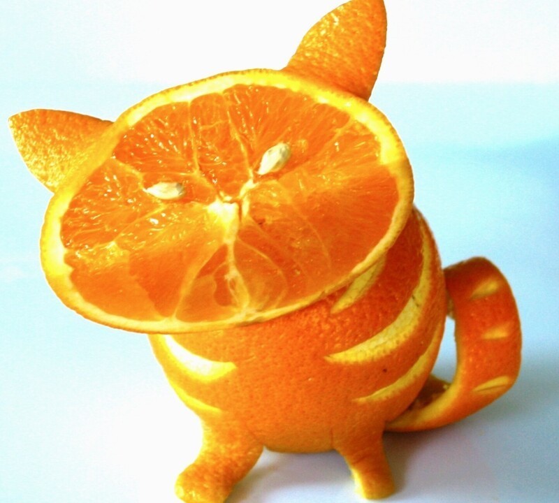 14.	Апельсиновый котик
